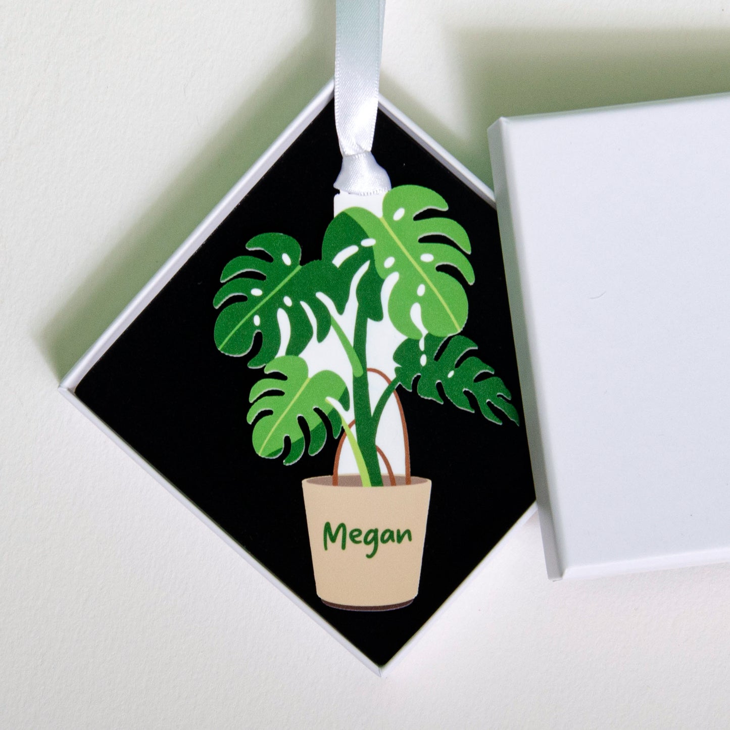 Monstera Plant Decoration