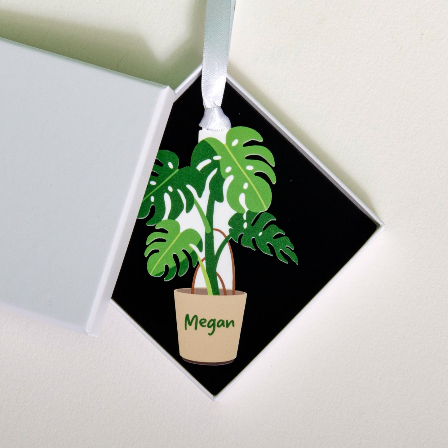 Monstera Plant Decoration