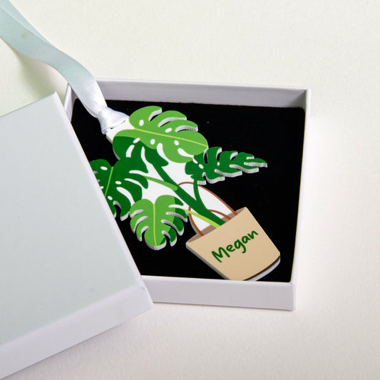 Monstera Plant Decoration