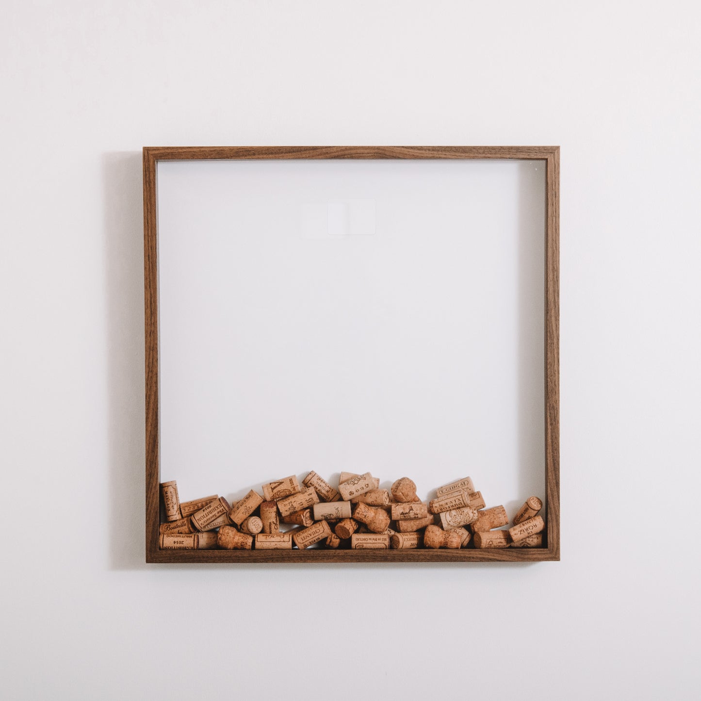 Extra Large walnut cork collector frame - Stag Design