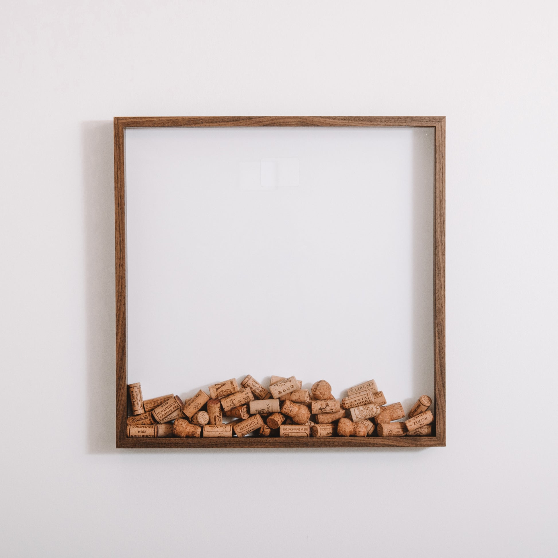 Extra Large walnut cork collector frame - Stag Design