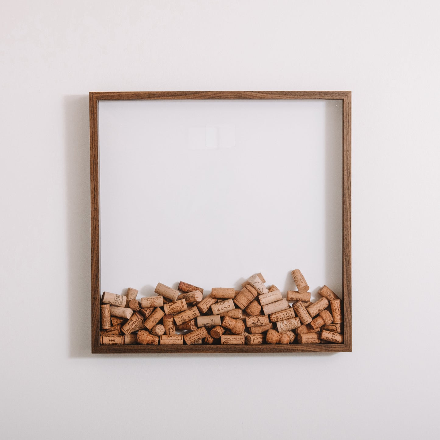 Extra Large walnut cork collector frame - Stag Design