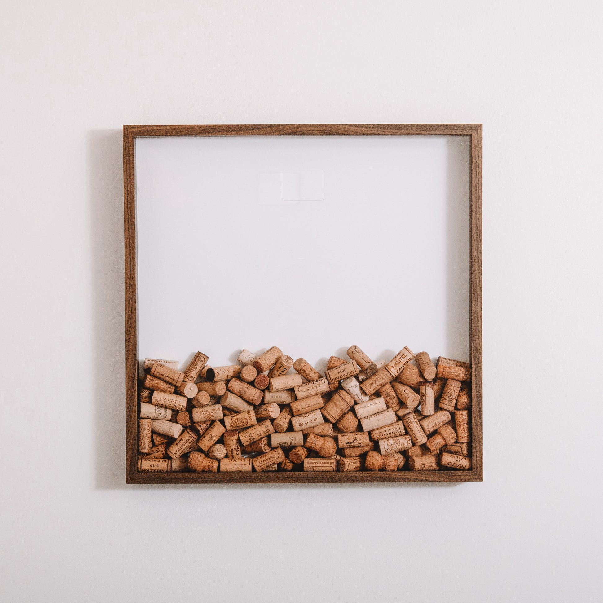 Extra Large walnut cork collector frame - Stag Design