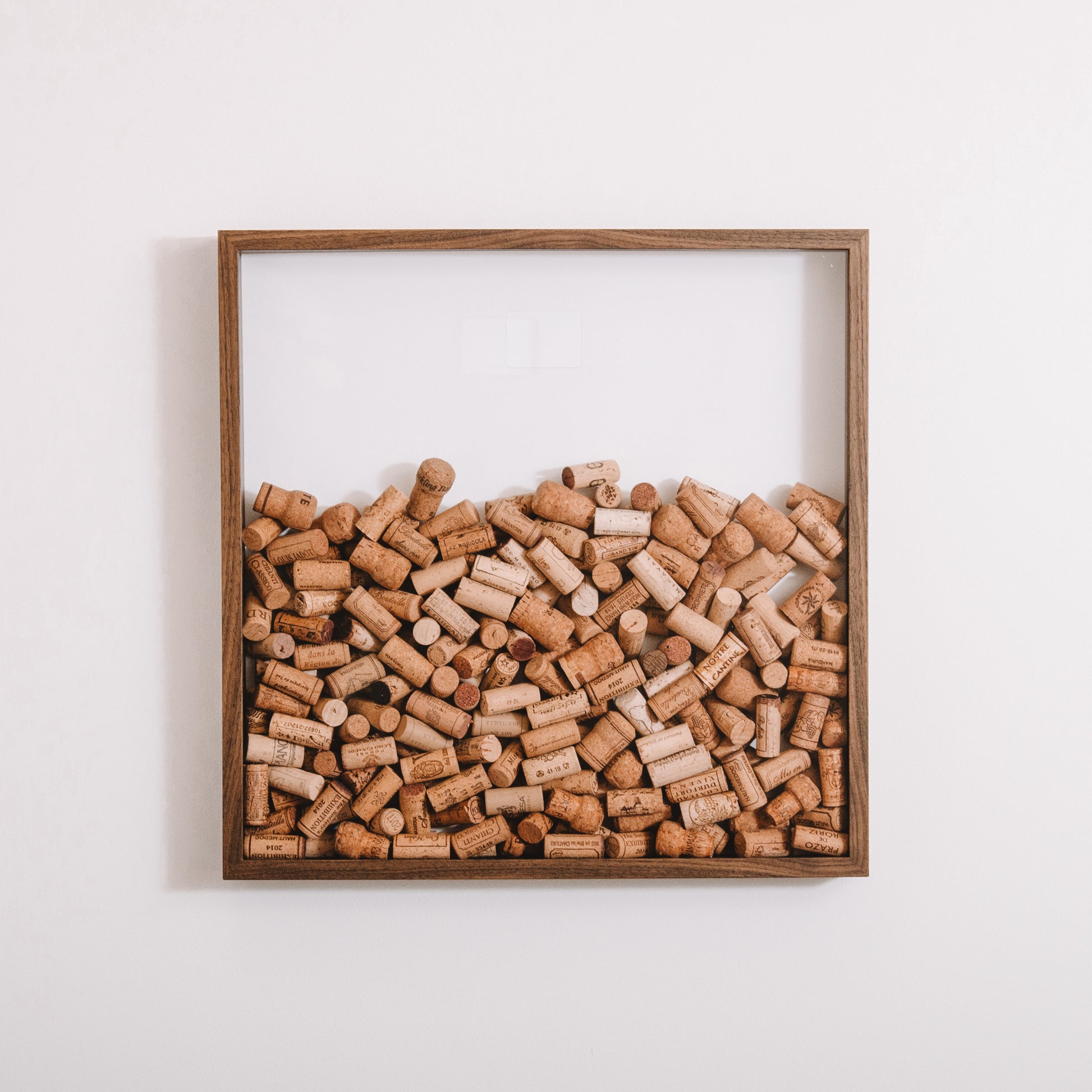 Extra Large walnut cork collector frame - Stag Design