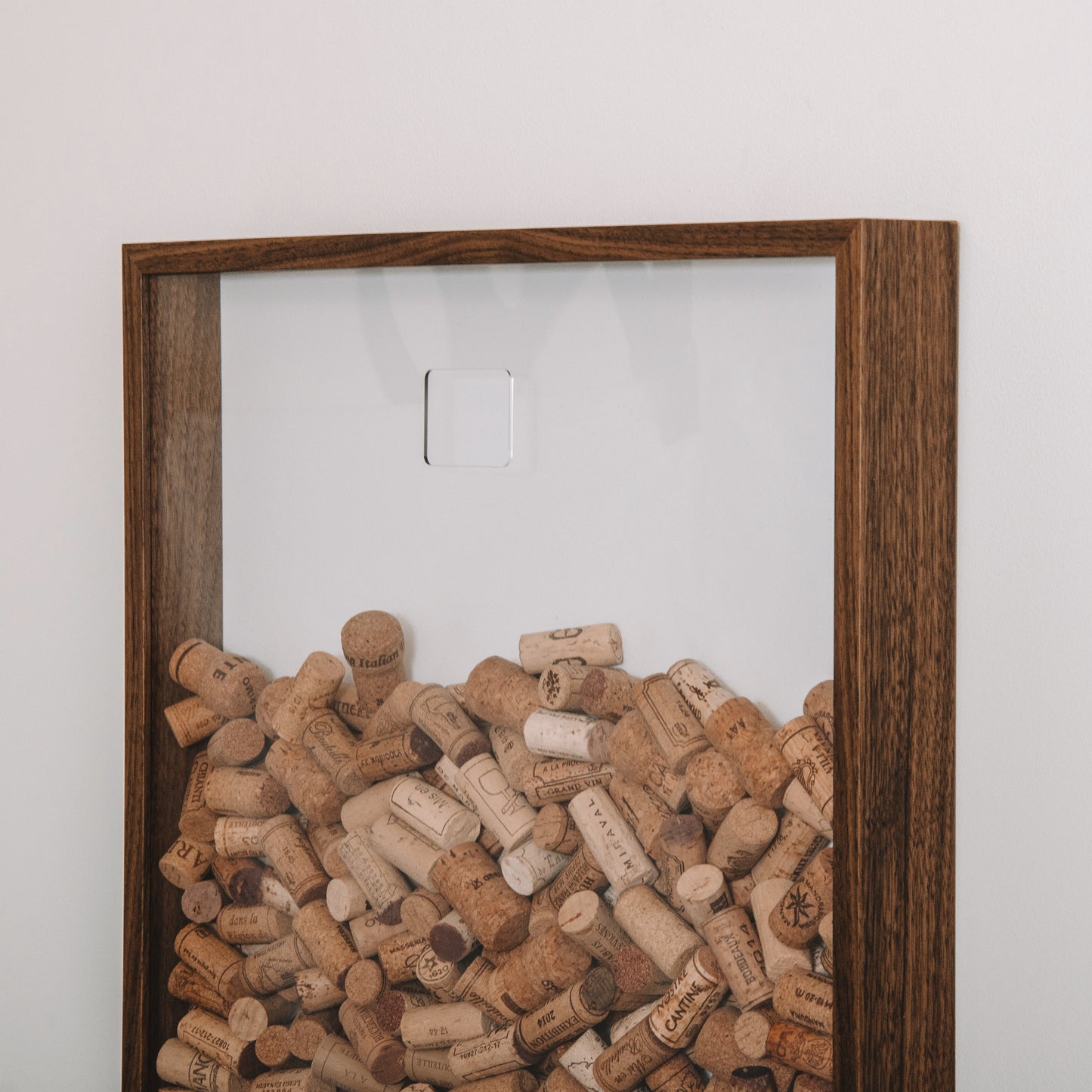 Extra Large walnut cork collector frame - Stag Design
