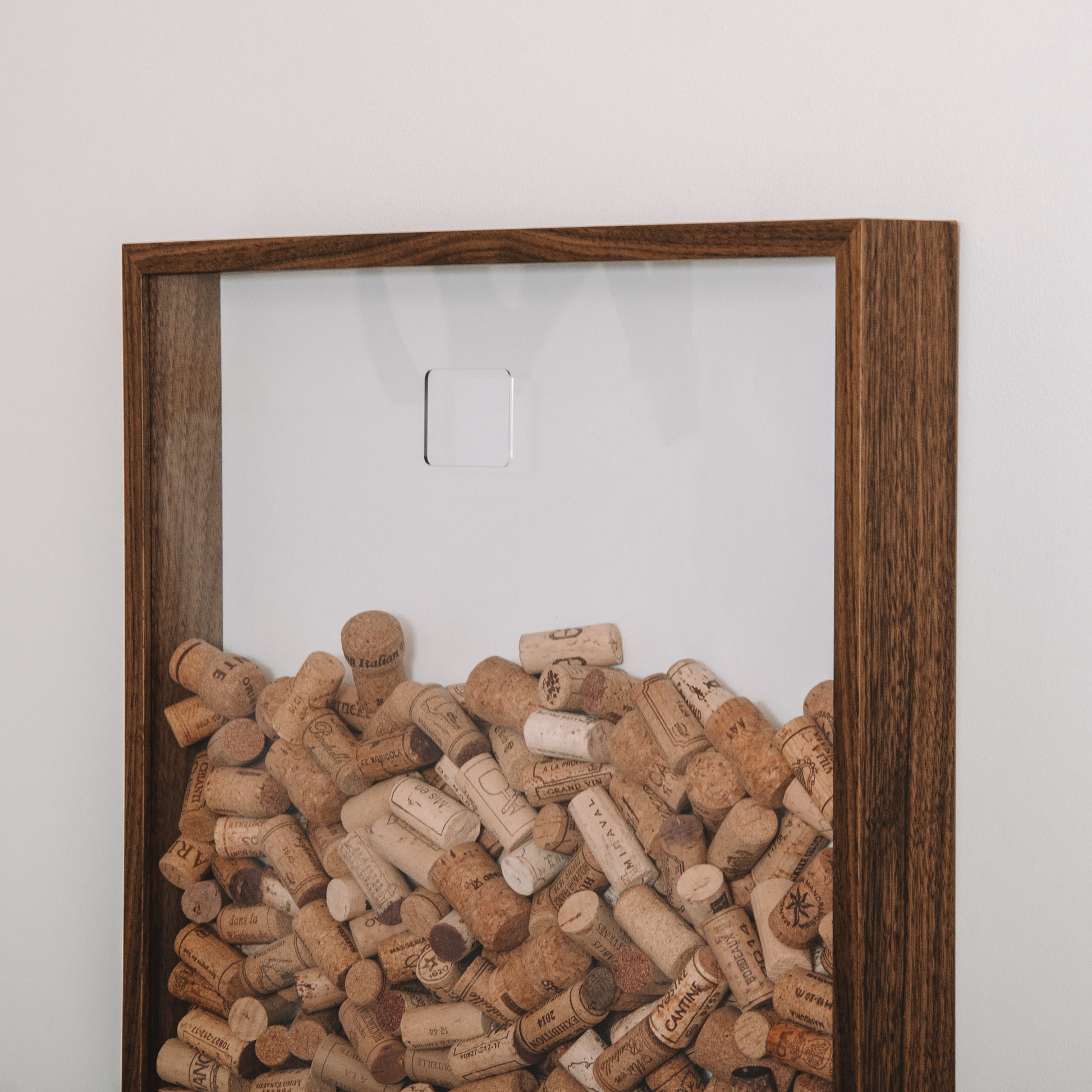 Extra Large walnut cork collector frame - Stag Design