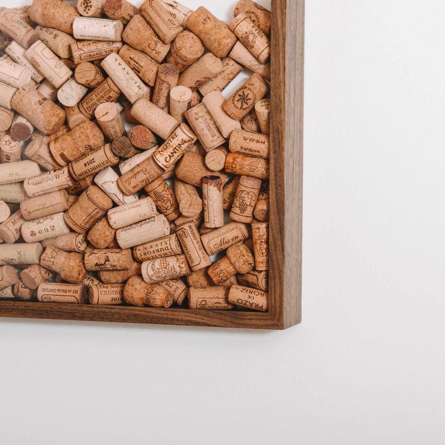 Extra Large walnut cork collector frame - Stag Design
