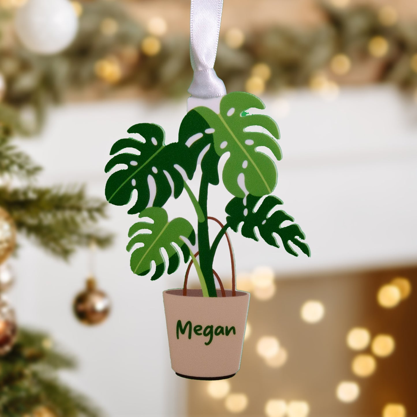 Monstera Plant Decoration