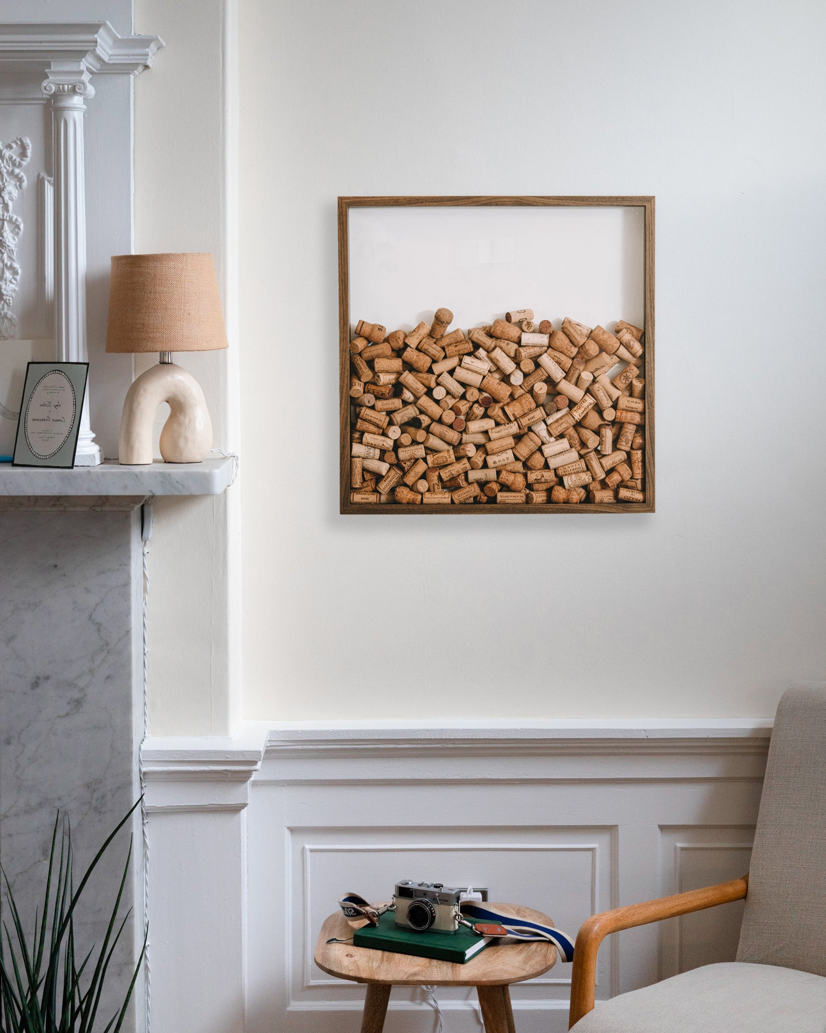 Extra Large walnut cork collector frame - Stag Design