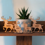 Personalised Christmas reindeer table decoration