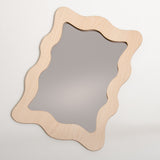Contemporary organic shape mirror